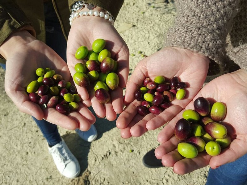 The House of Oil - 1