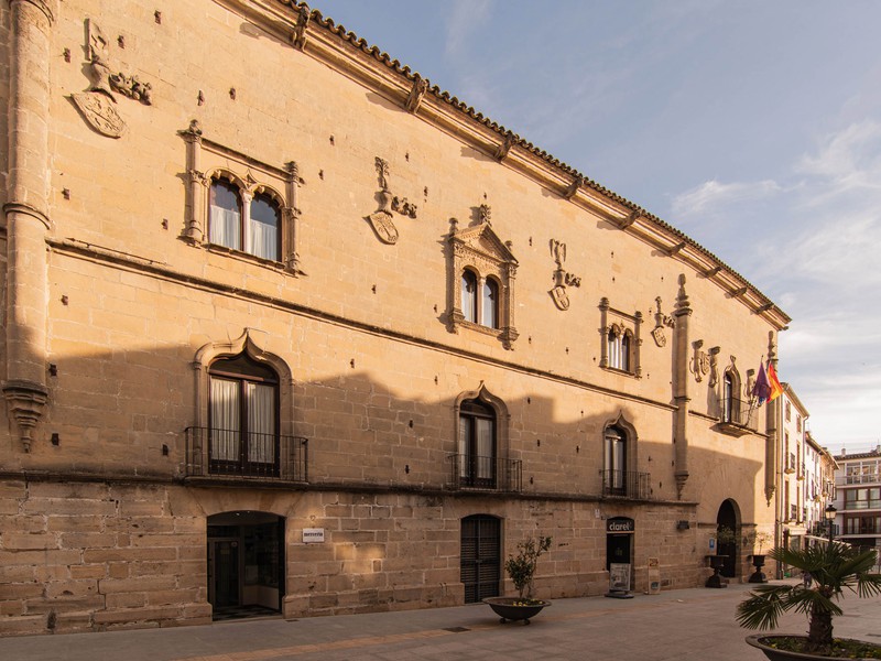 Hotel Palacio de Los Salcedo **** - 1