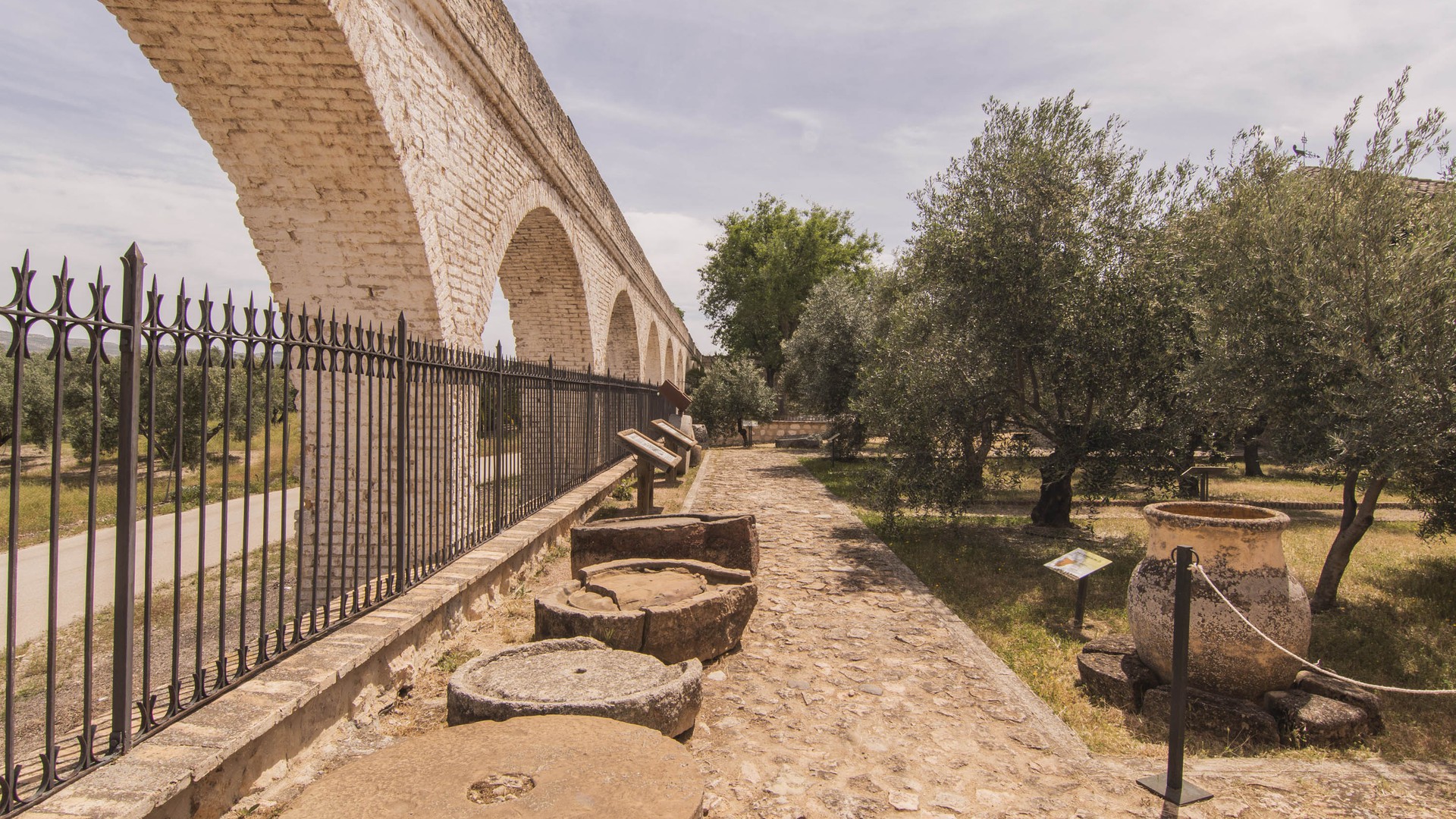 Olive Tree Culture Museum