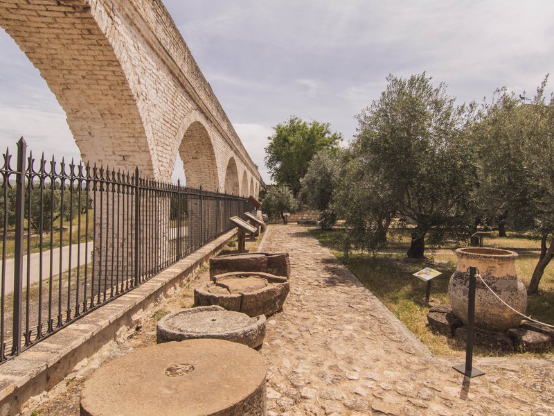 Olive Tree Culture Museum - 1