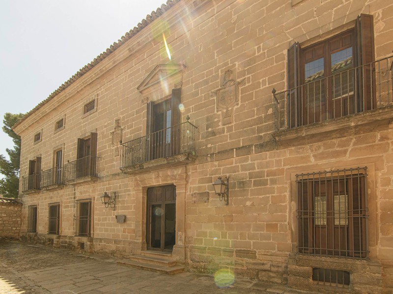 Palais de Rubín de Ceballos - 1