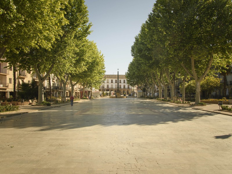 Paseo de la Constitución - 1